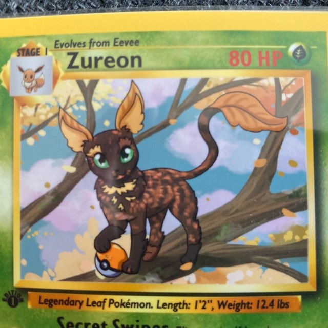 Custom Pokémon Cards photo review